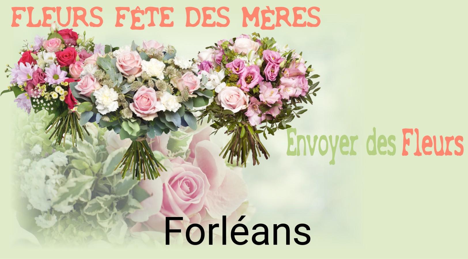 Bouquet de Fête des Mères livré à Forléans